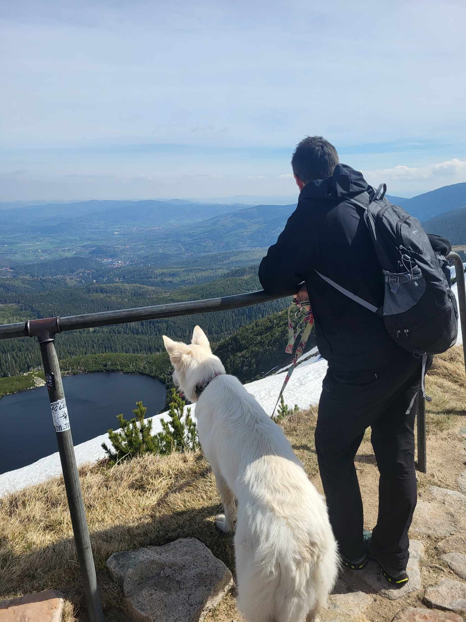 lizbonka-tez-kocha-karkonosze-123981
