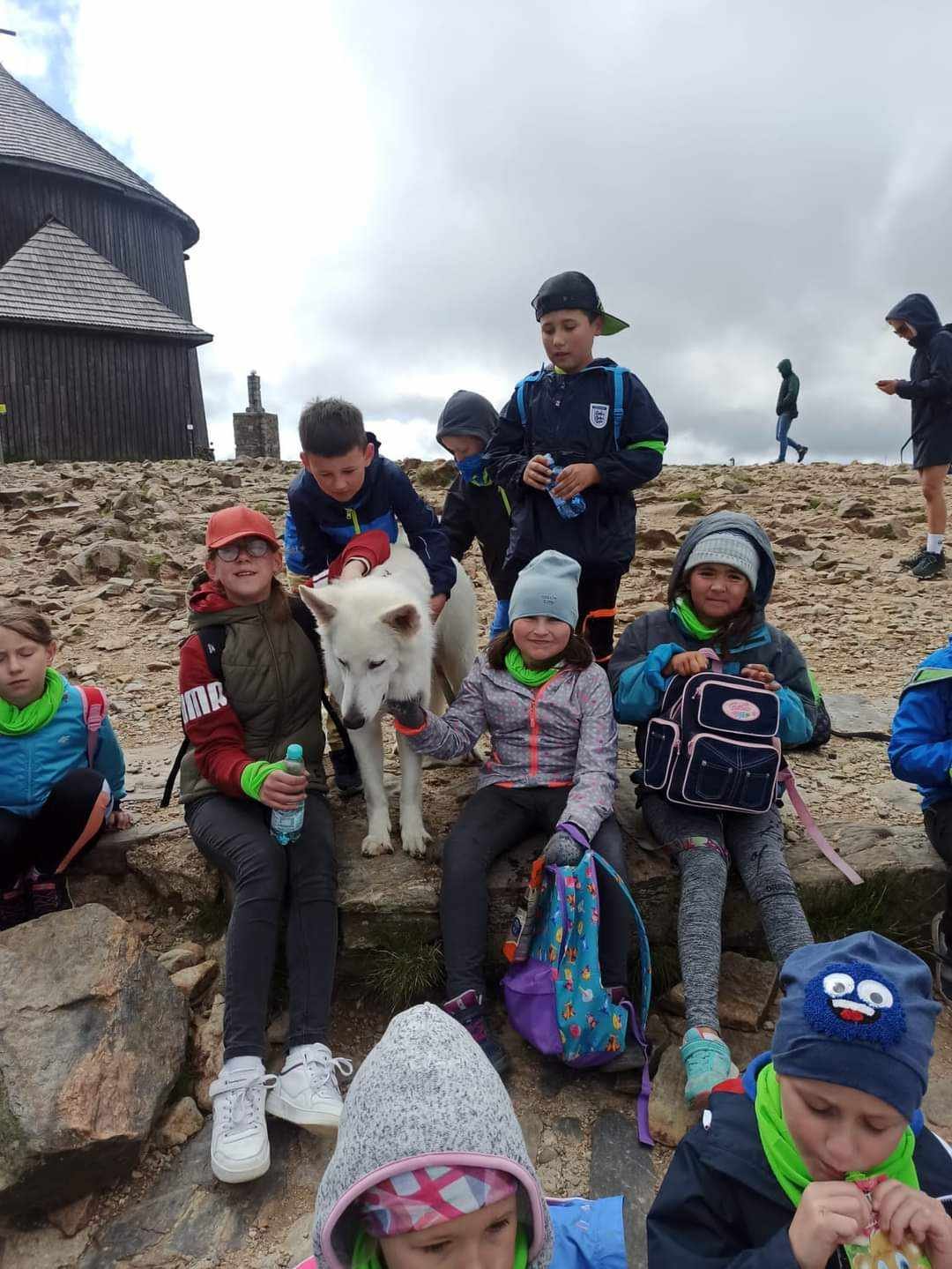 lizbonka-tez-kocha-karkonosze-123981