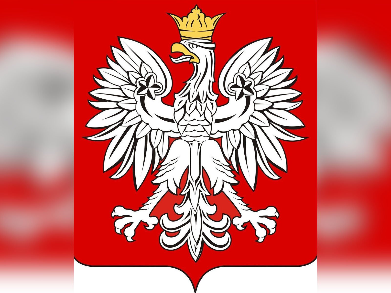 frekwencja-w-jeleniej-gorze-na-razie-tylko-9-124045