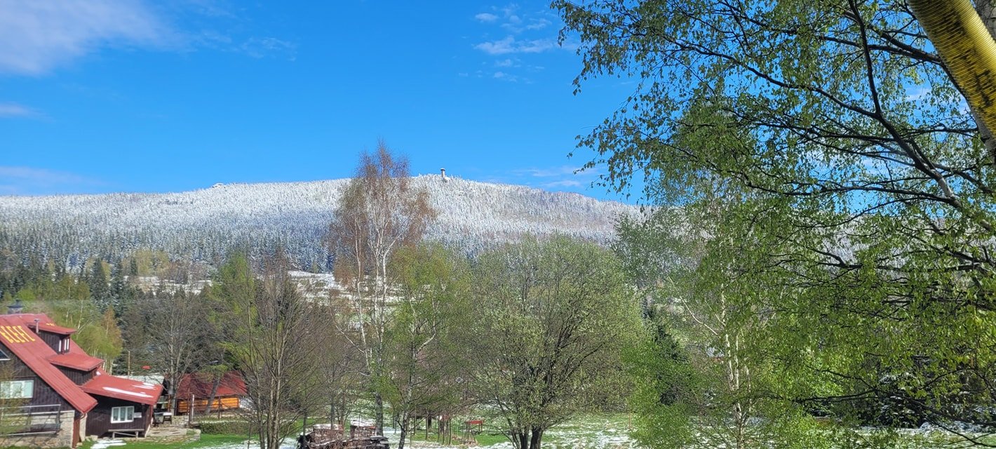 majowke-zaczynaja-w-kwietniu-124096