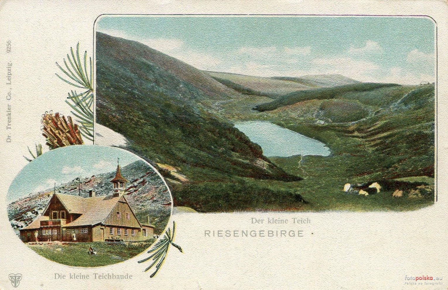 pozegnanie-w-samotni-124101