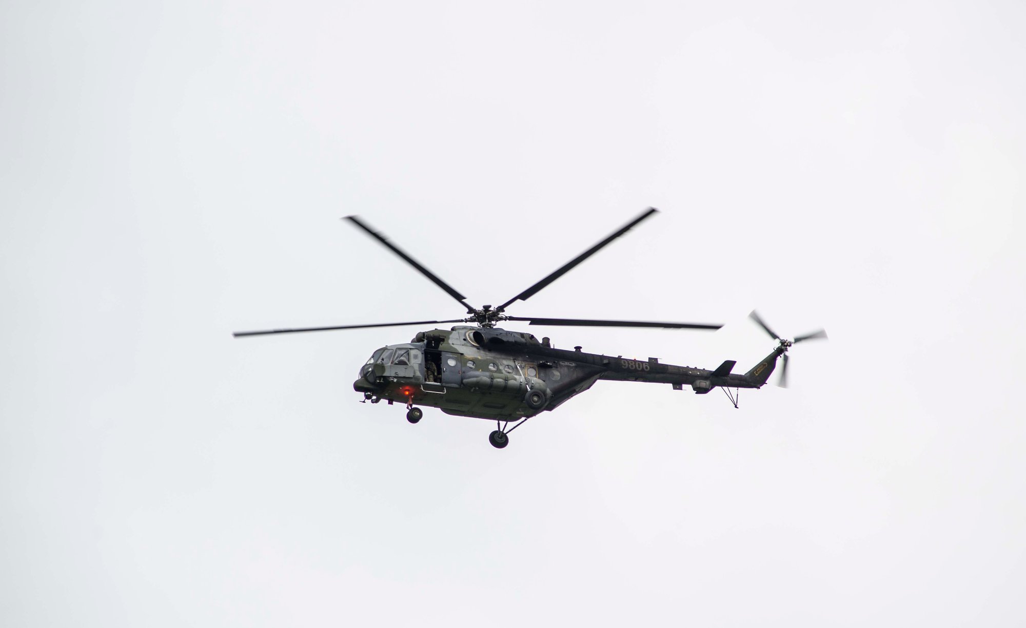 zonierze-z-czech-latali-hipem-w-sobieszowie-124134
