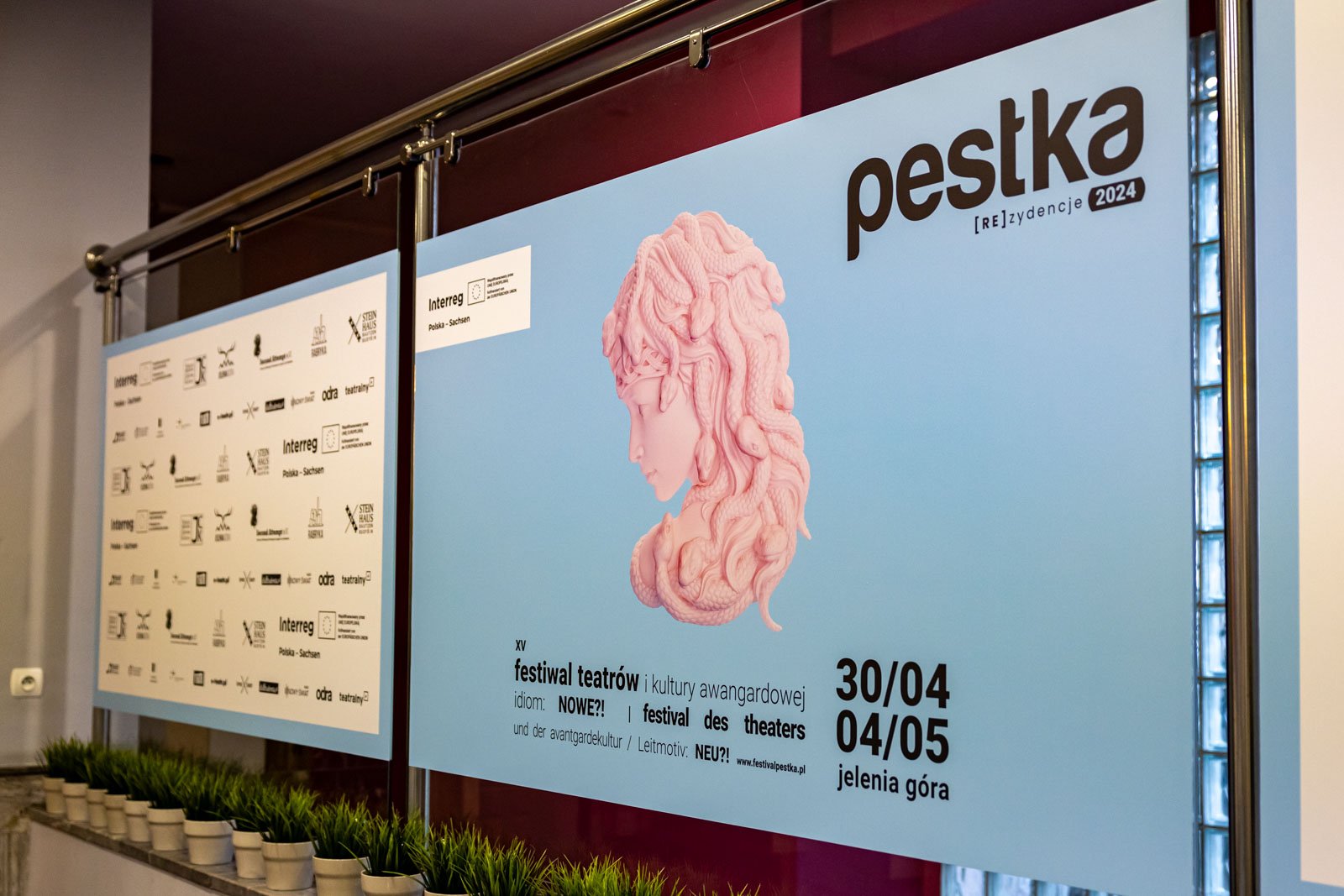 pestka-wystartowaa-124278