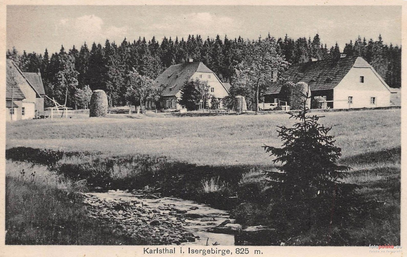 co-dalej-ze-schroniskiem-orle-w-gorach-izerskich-124456