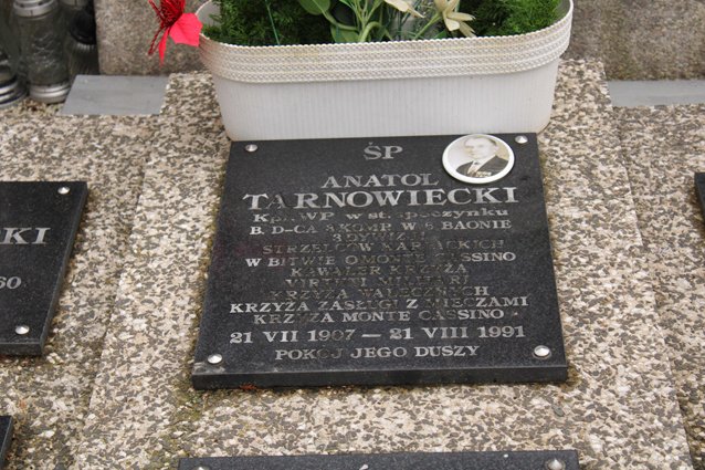 Tablica Tarnowieckiego
