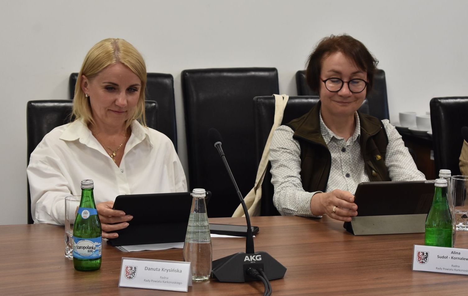 radni-powiatowi-powoali-komisje-124779