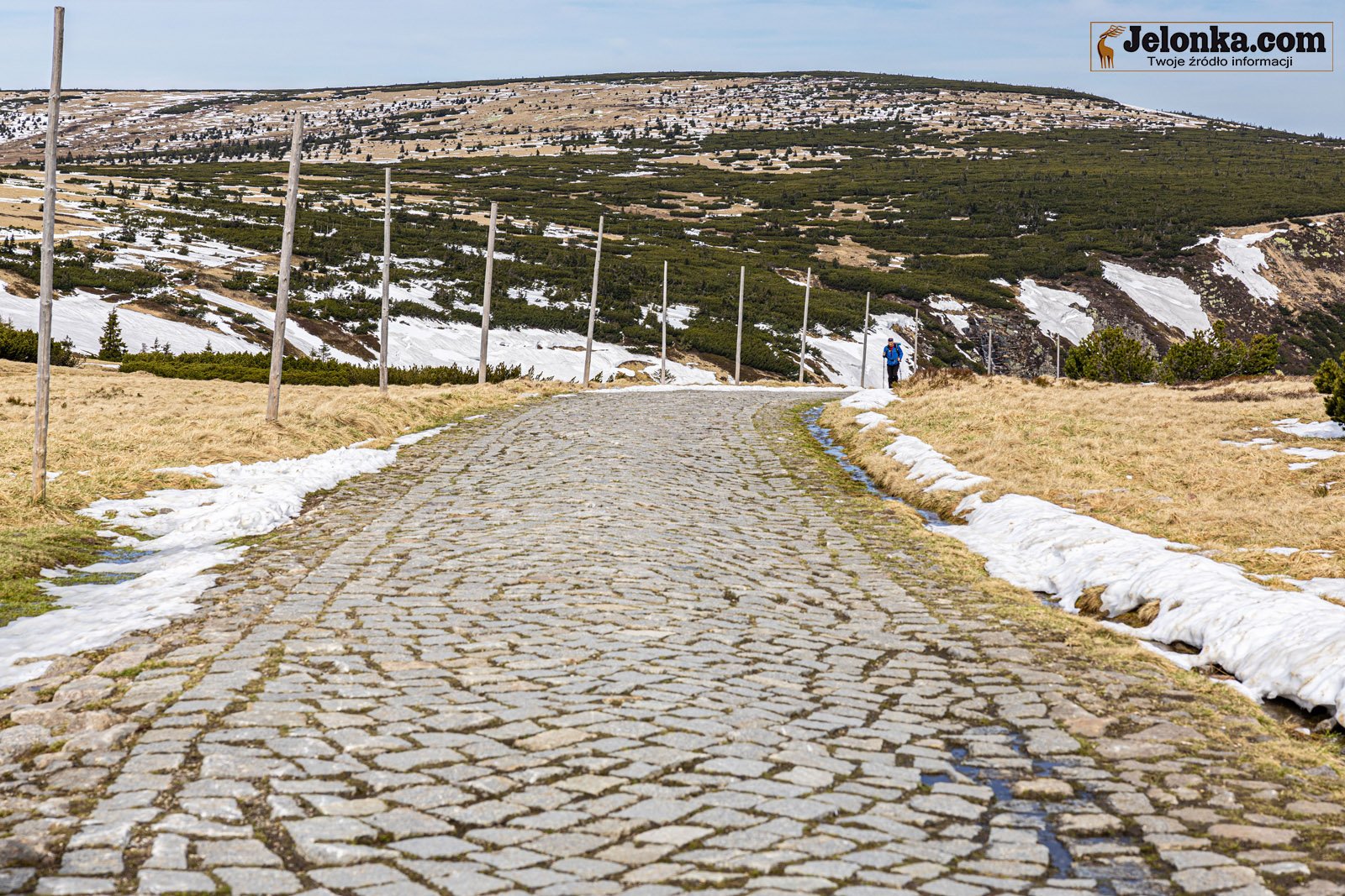 swieto-karkonoskiego-parku-narodowego-124815