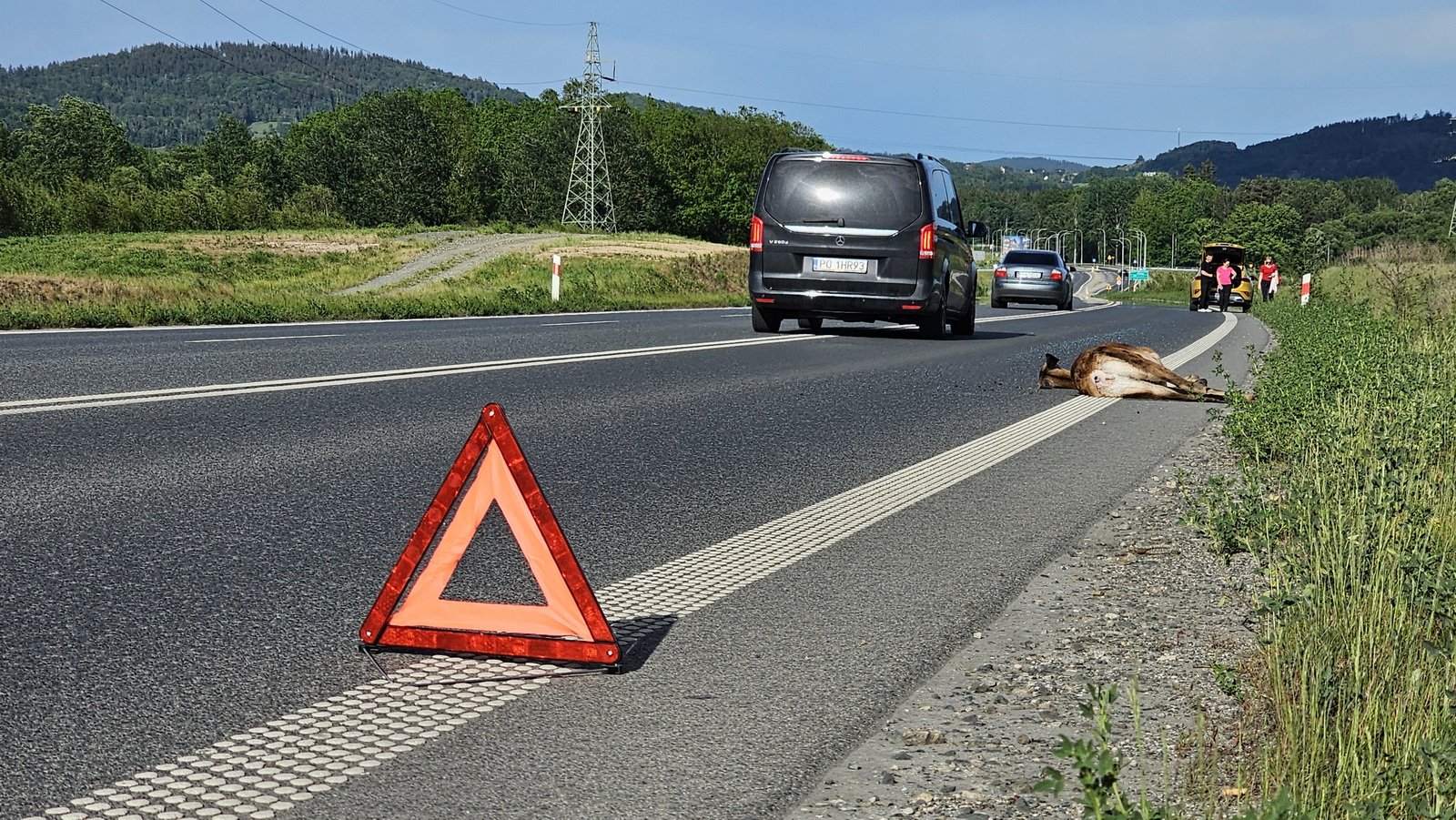 kolizja-ze-zwierzeciem-na-obwodnicy-maciejowej-124918