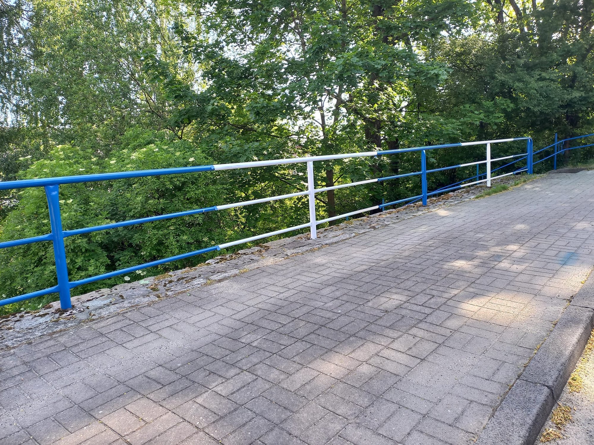 porzadki-w-centrum-i-nie-tylko-124945