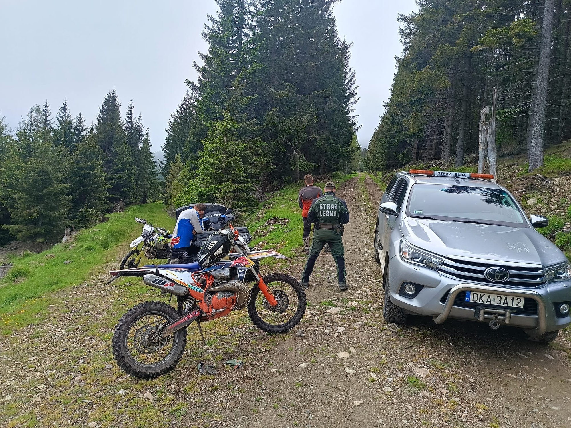 pedzili-motorami-po-lesie-124950