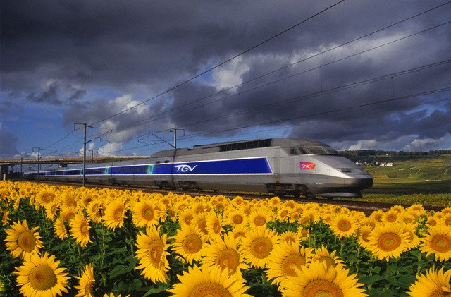 Train a Grande Vitesse (TGV) podbija Francję już od dawna. W Polsce to na razie marzenie nie do spełnienia.