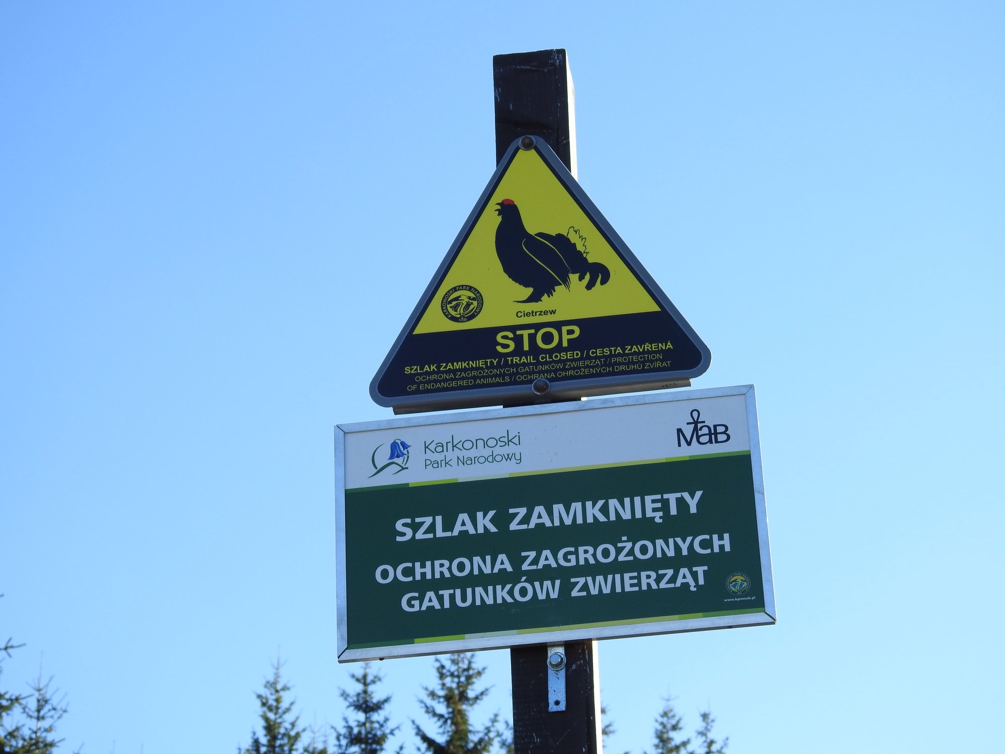 kpn-otwiera-szlaki-125001