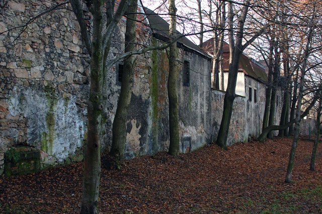 zrujnowana-pamiec-stare-grobowce-w-rozsypce-12501
