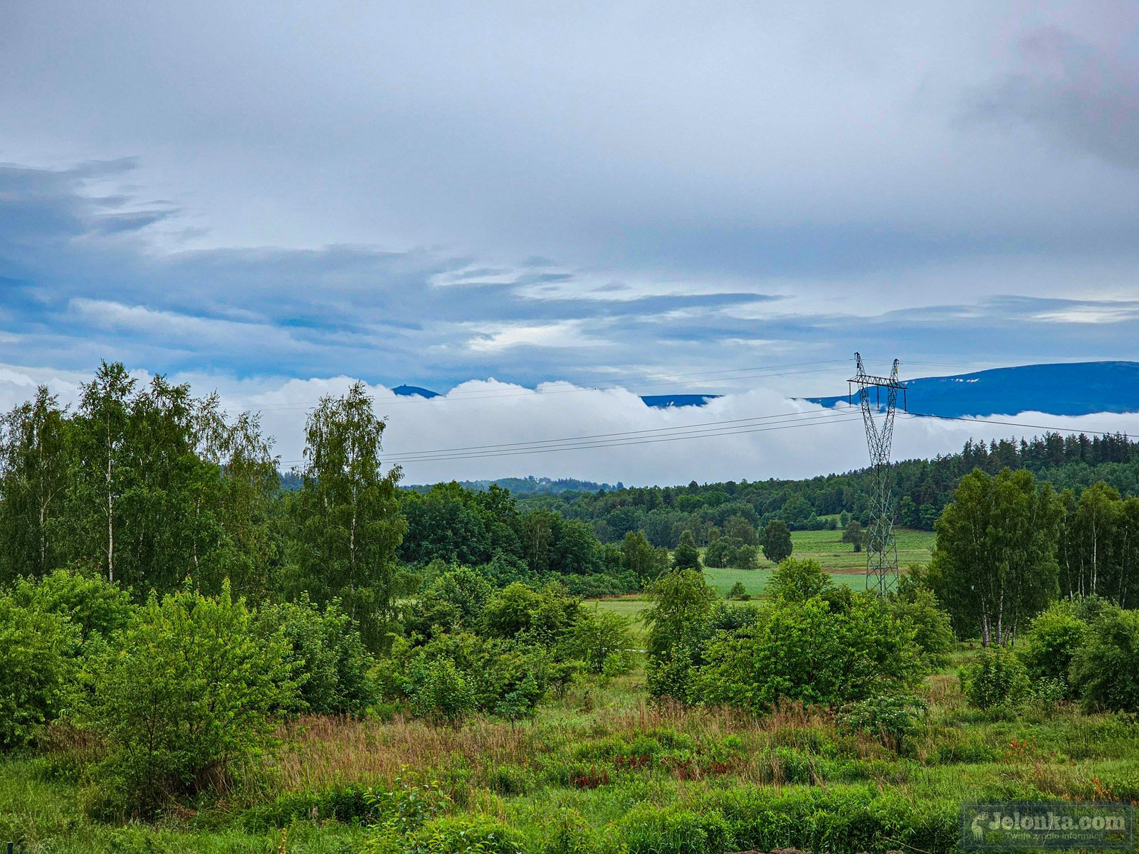 zbiorowisko-kropelek-nad-jelenia-gora-125073