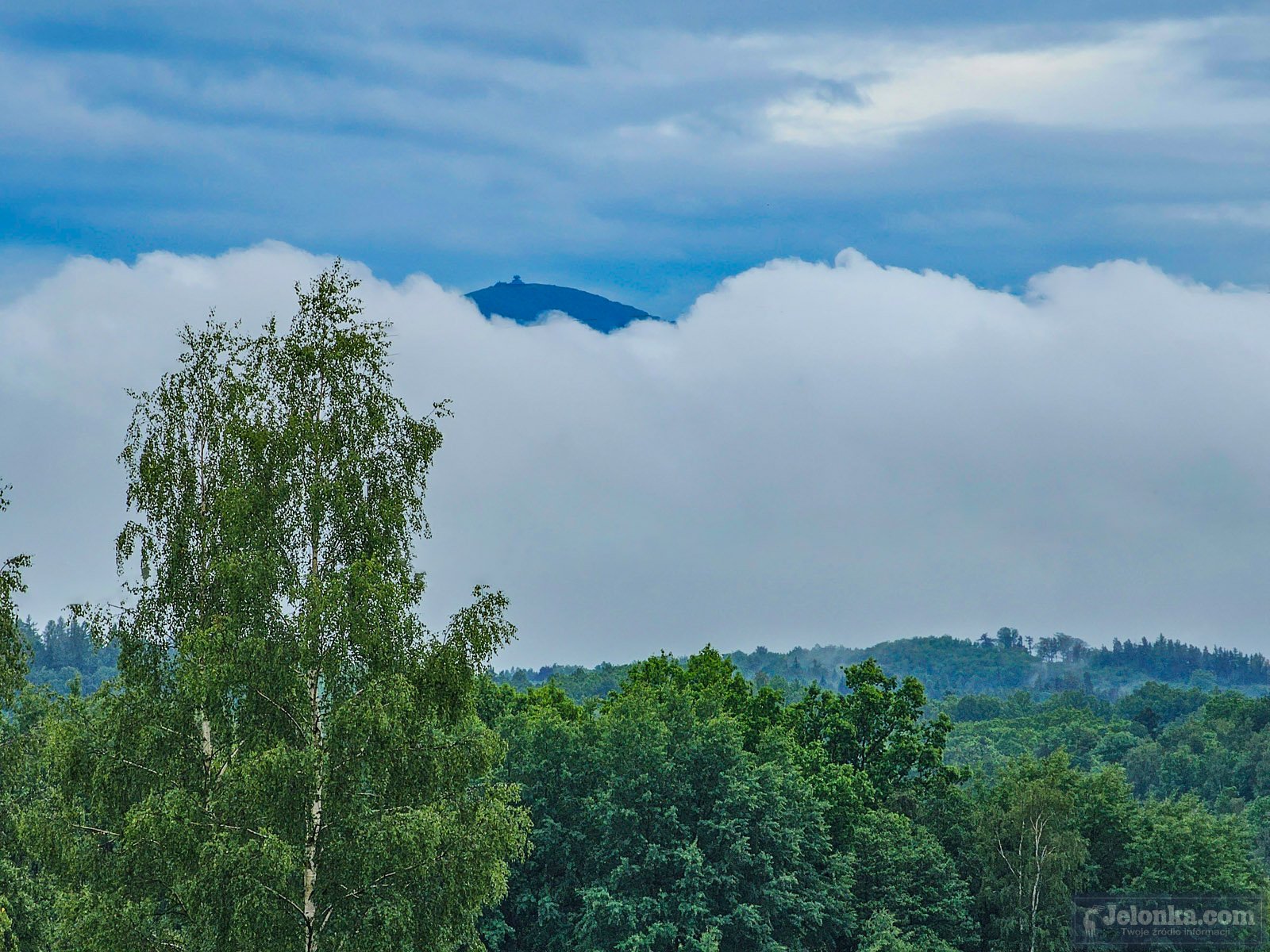zbiorowisko-kropelek-nad-jelenia-gora-125073