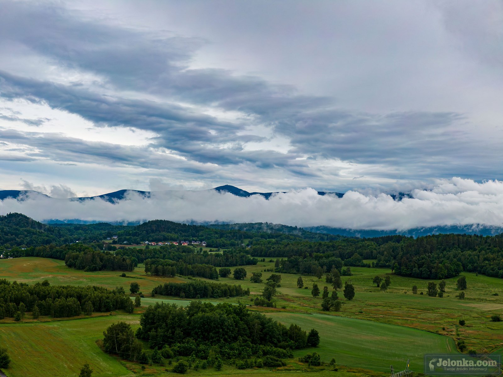 zbiorowisko-kropelek-nad-jelenia-gora-125073