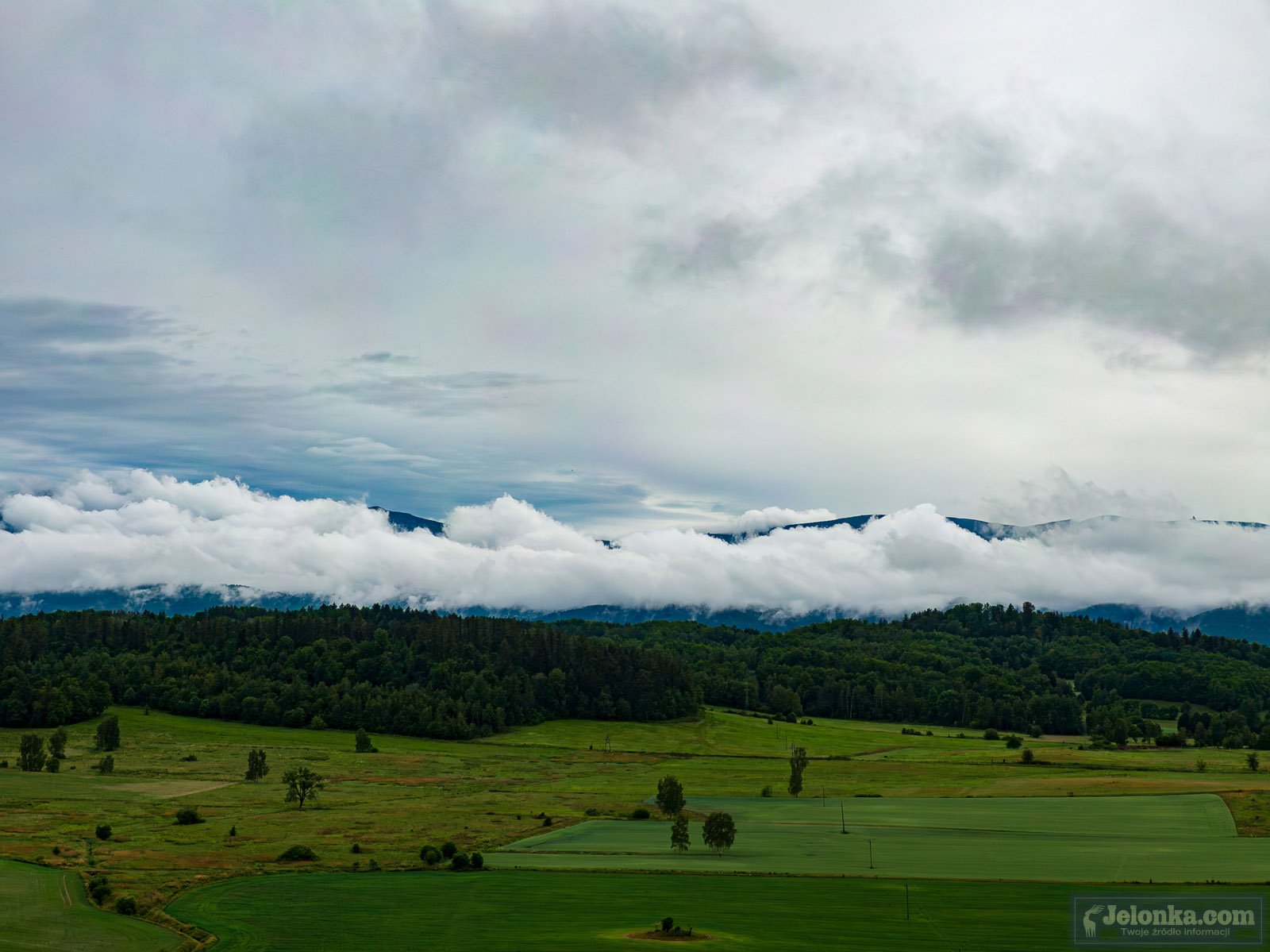 zbiorowisko-kropelek-nad-jelenia-gora-125073