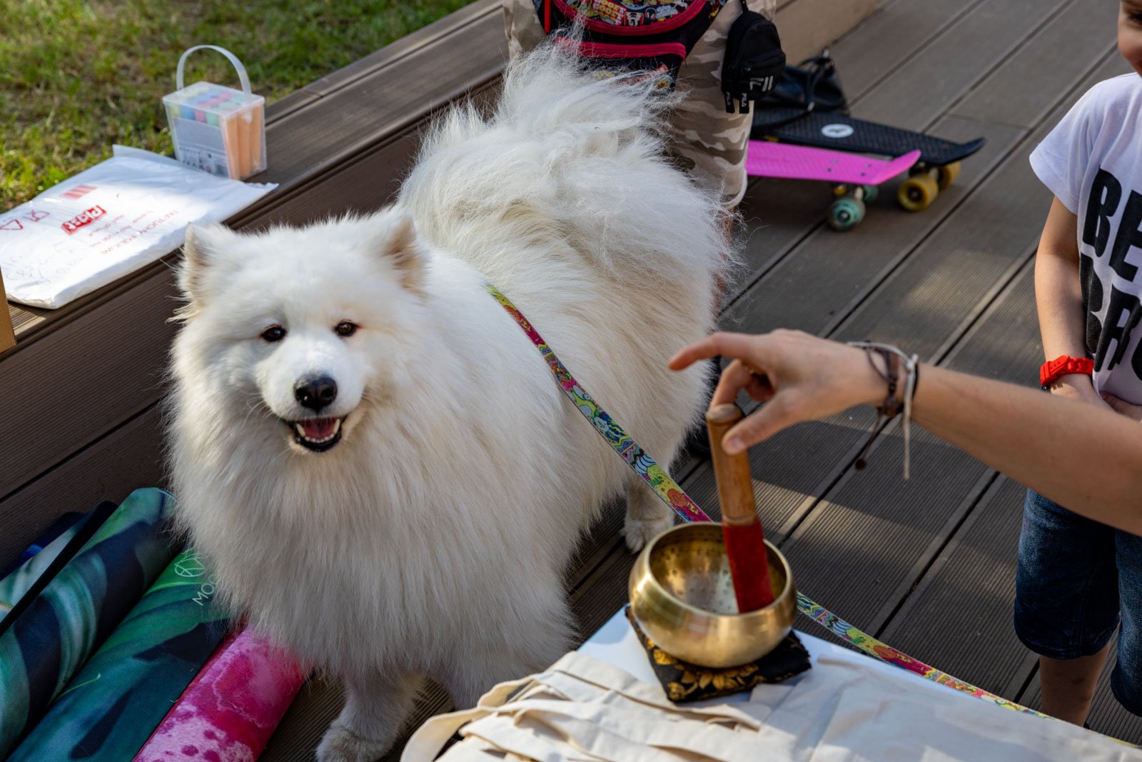 festiwal-weganski-w-jeleniej-gorze-125242