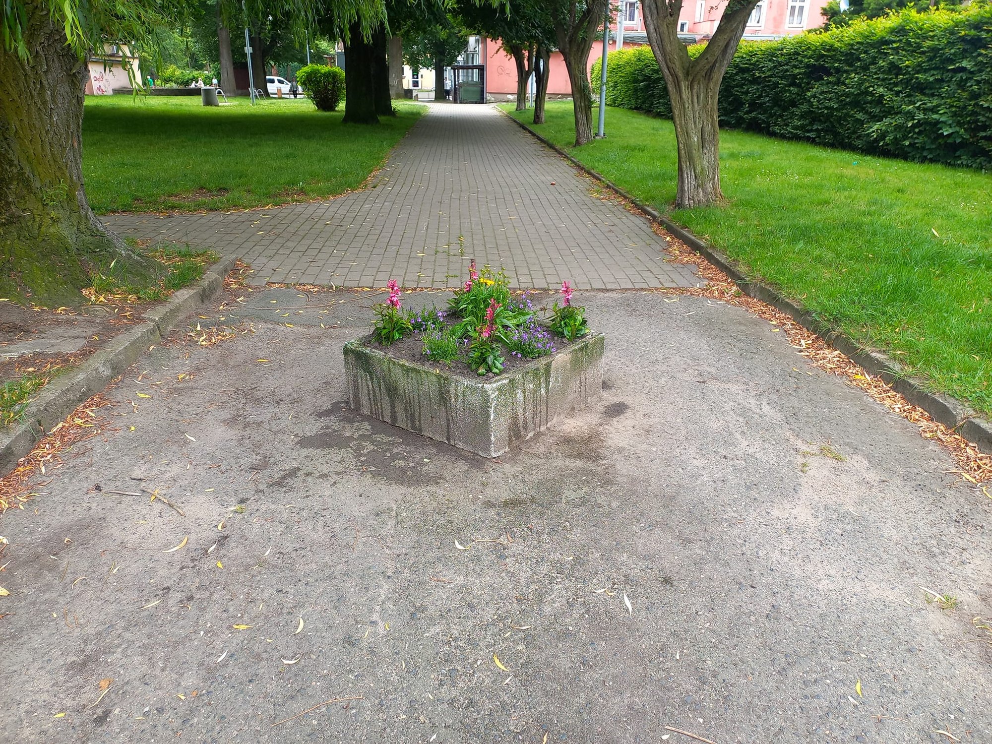 ukwiecaja-centrum-piechowic-125260