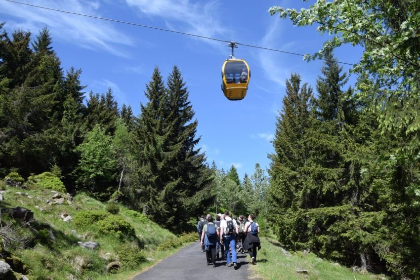 dobre-rozeznanie-powoania-w-swieradowie-125291