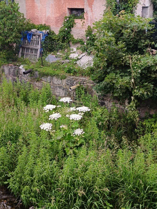 miasto-wyrecza-wody-polskie-125309