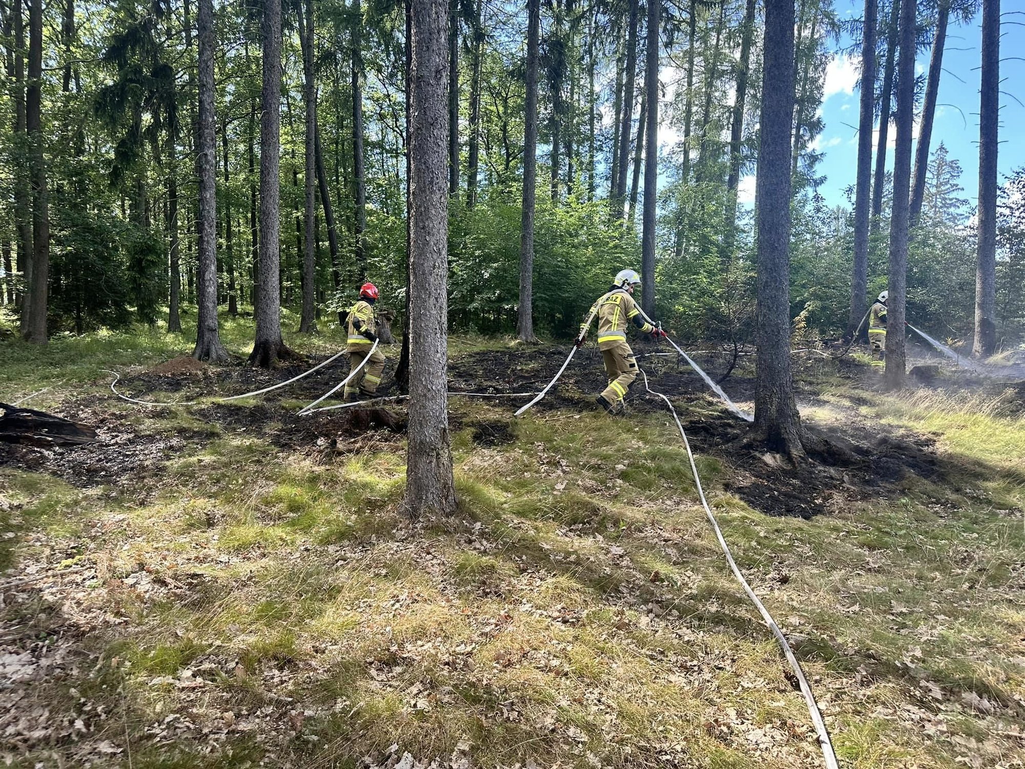 nawet-10-lat-wiezienia-za-podpalenie-aki-lub-lasu-125472