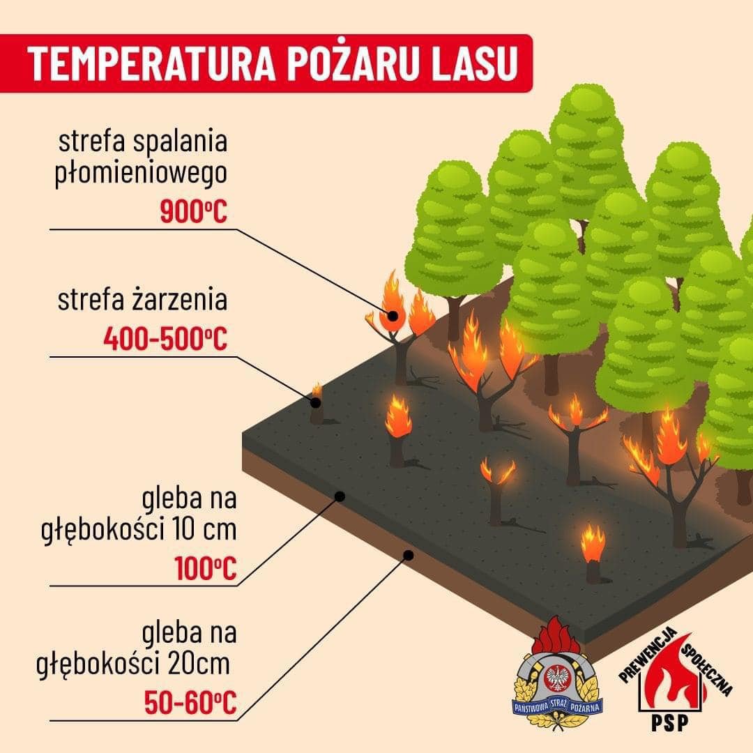 nawet-10-lat-wiezienia-za-podpalenie-aki-lub-lasu-125472