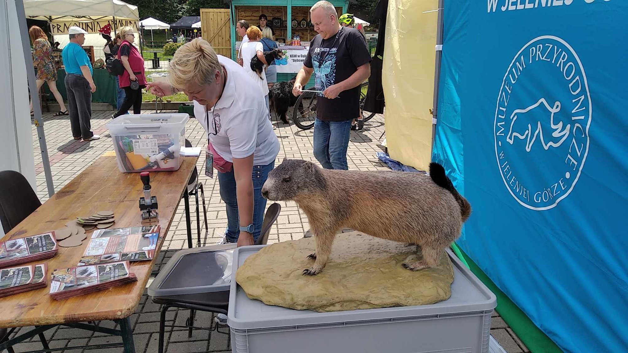 piknik-pod-chojnikiem-125494