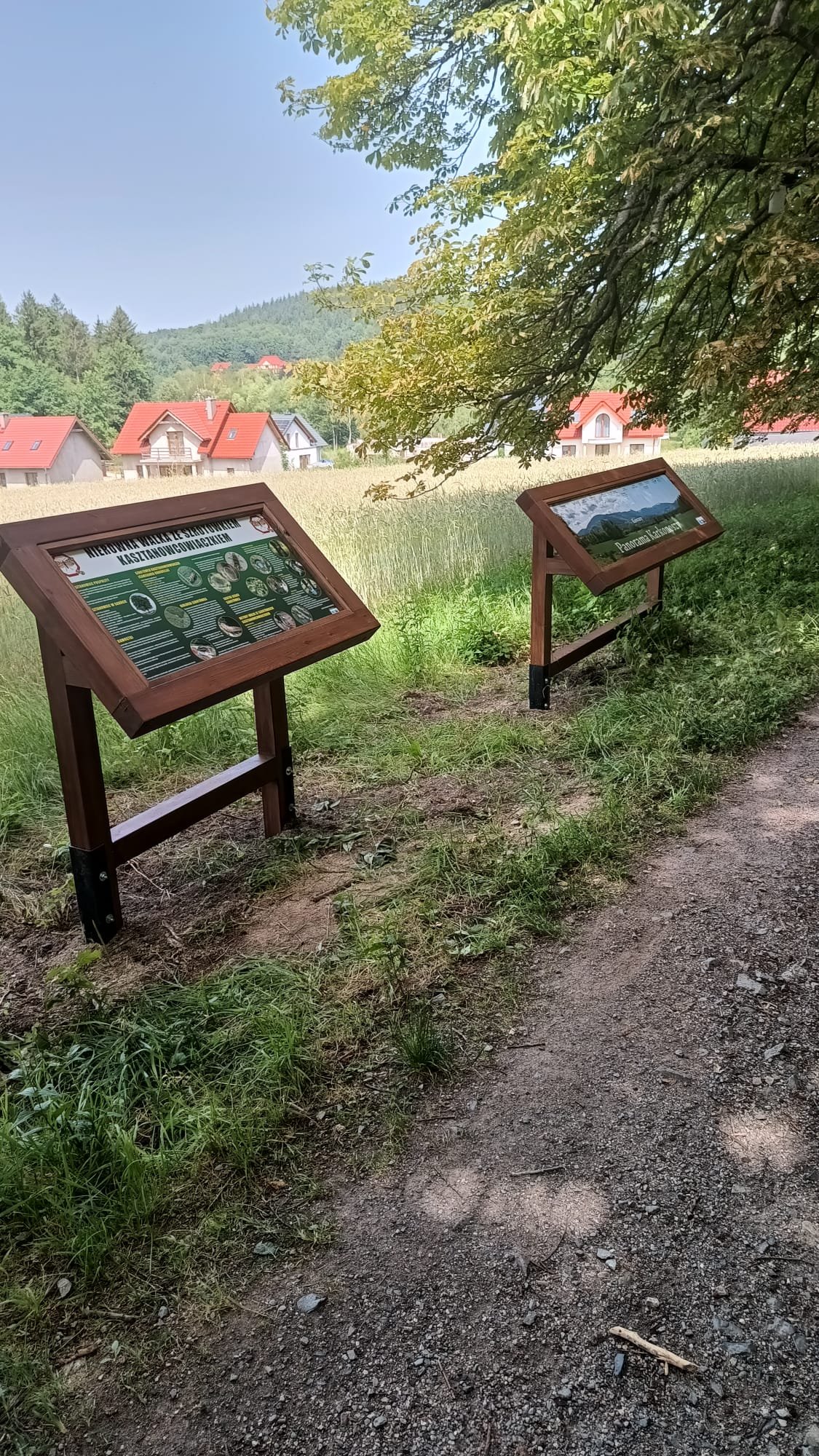chronia-kasztanowce-125511