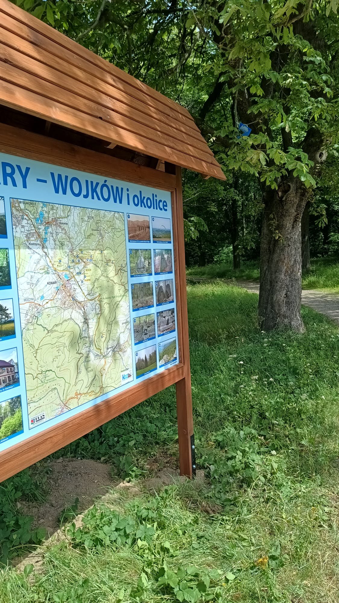chronia-kasztanowce-125511