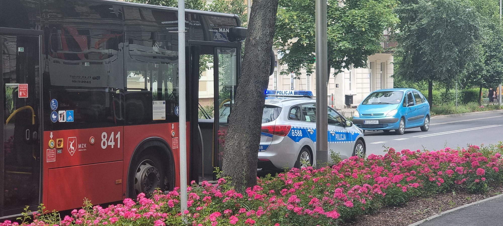 wypadek-z-autobusem-125539