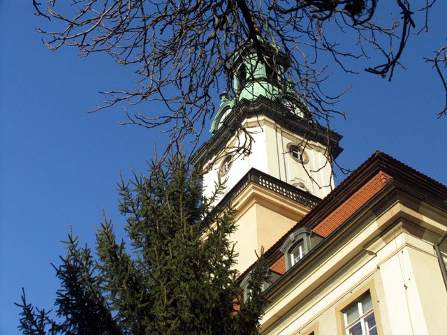 zapachniao-swietami-bozego-narodzenia-12556