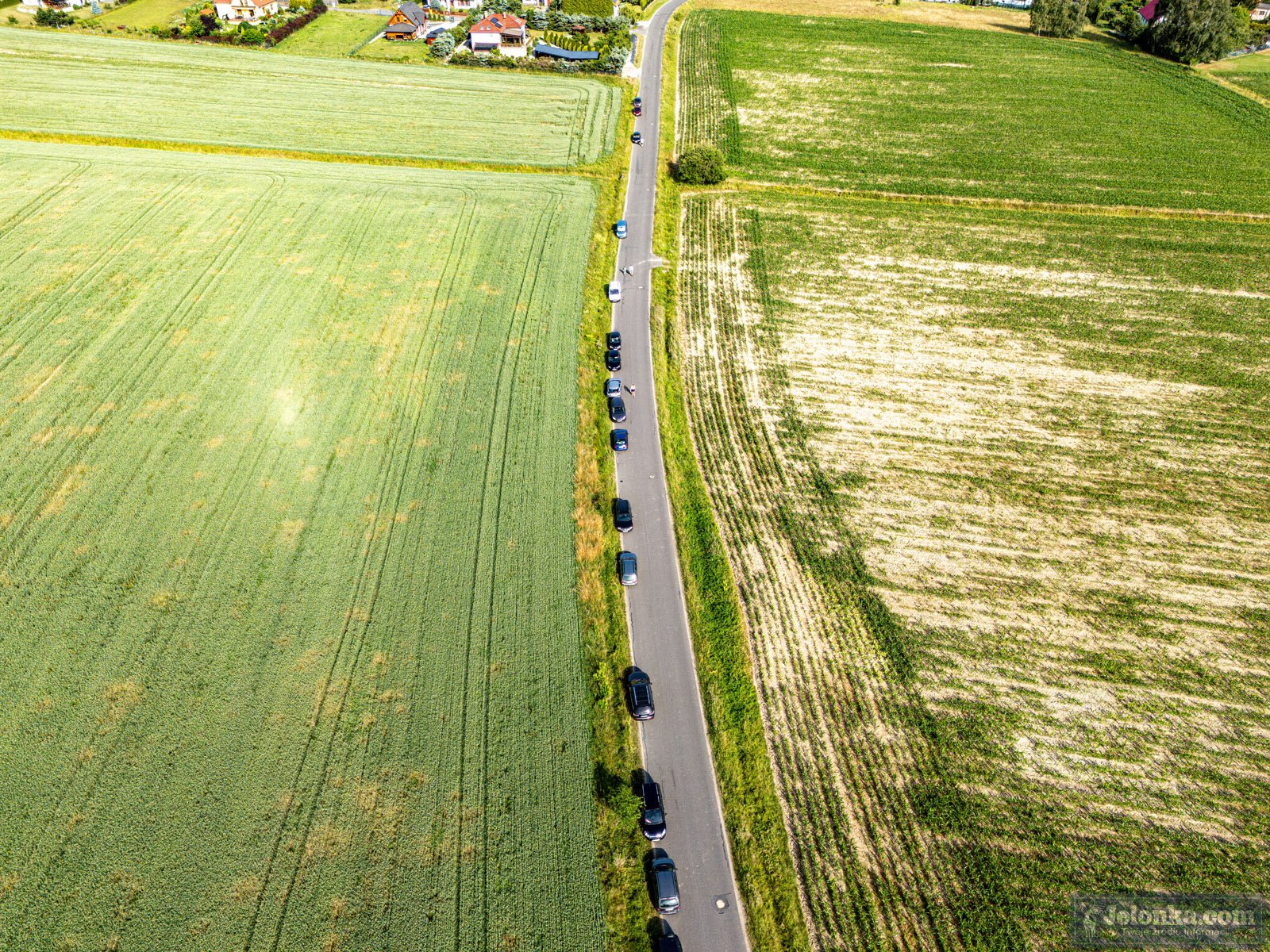 komarno-piknik-bez-nudy-125659