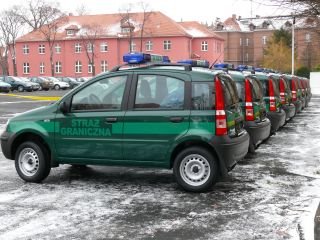 panda-na-przygraniczny-patrol-12584