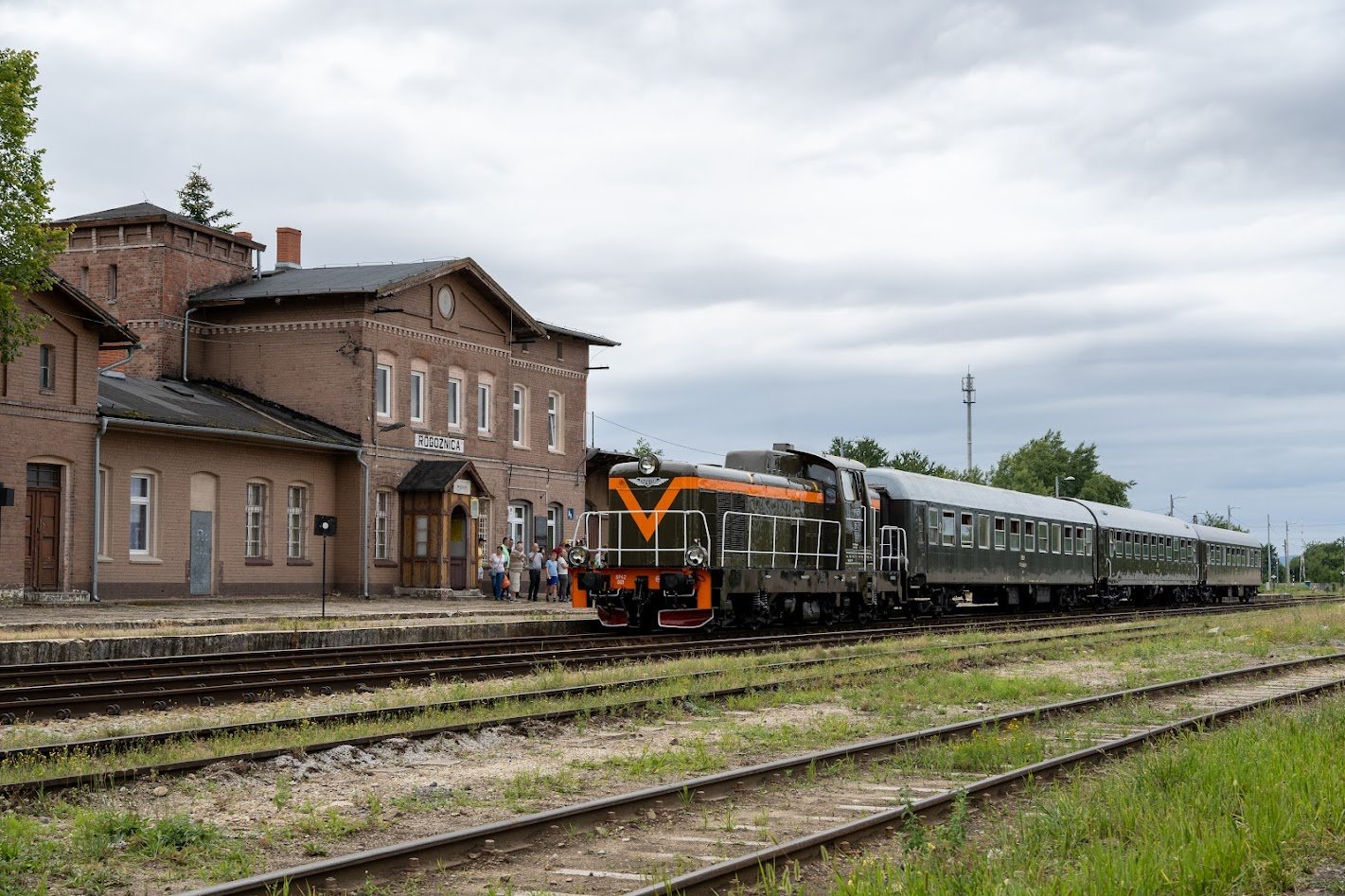para-buch-kocioek-w-ruch-125843
