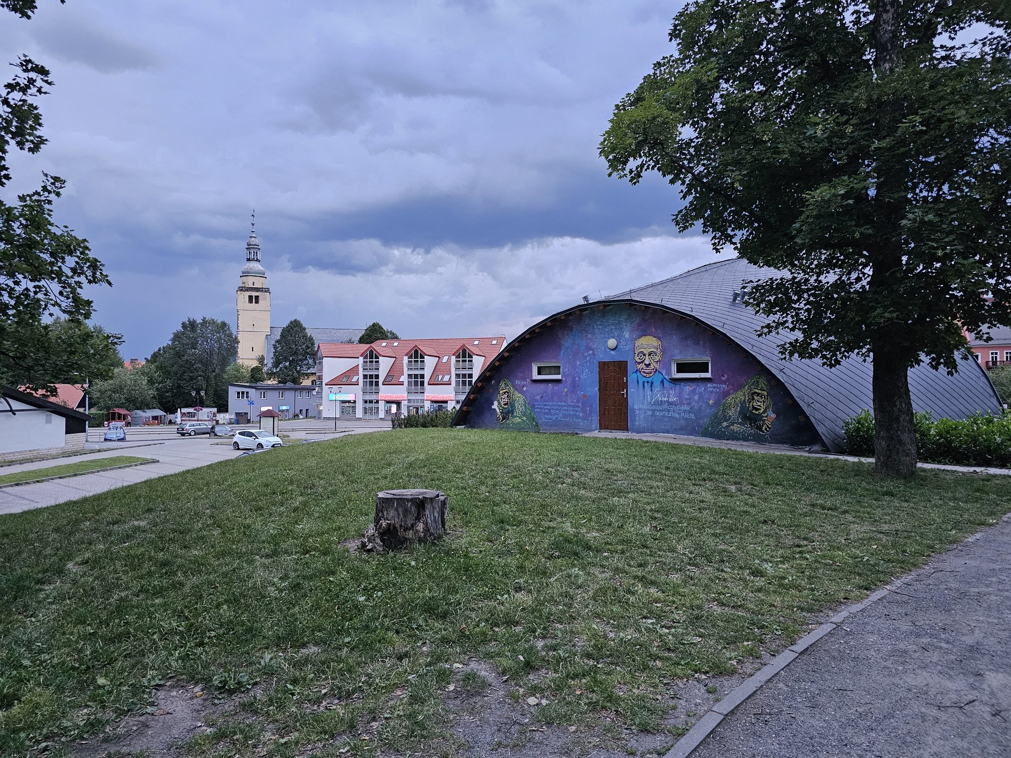 winnica-juz-cieszy-oko-125870