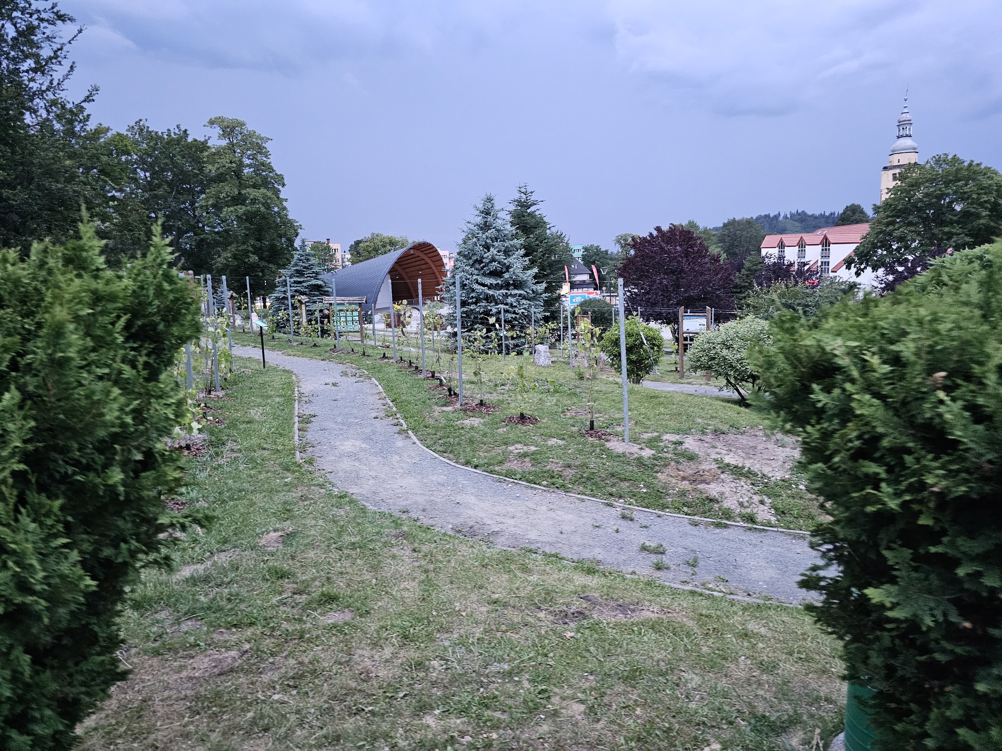 winnica-juz-cieszy-oko-125870