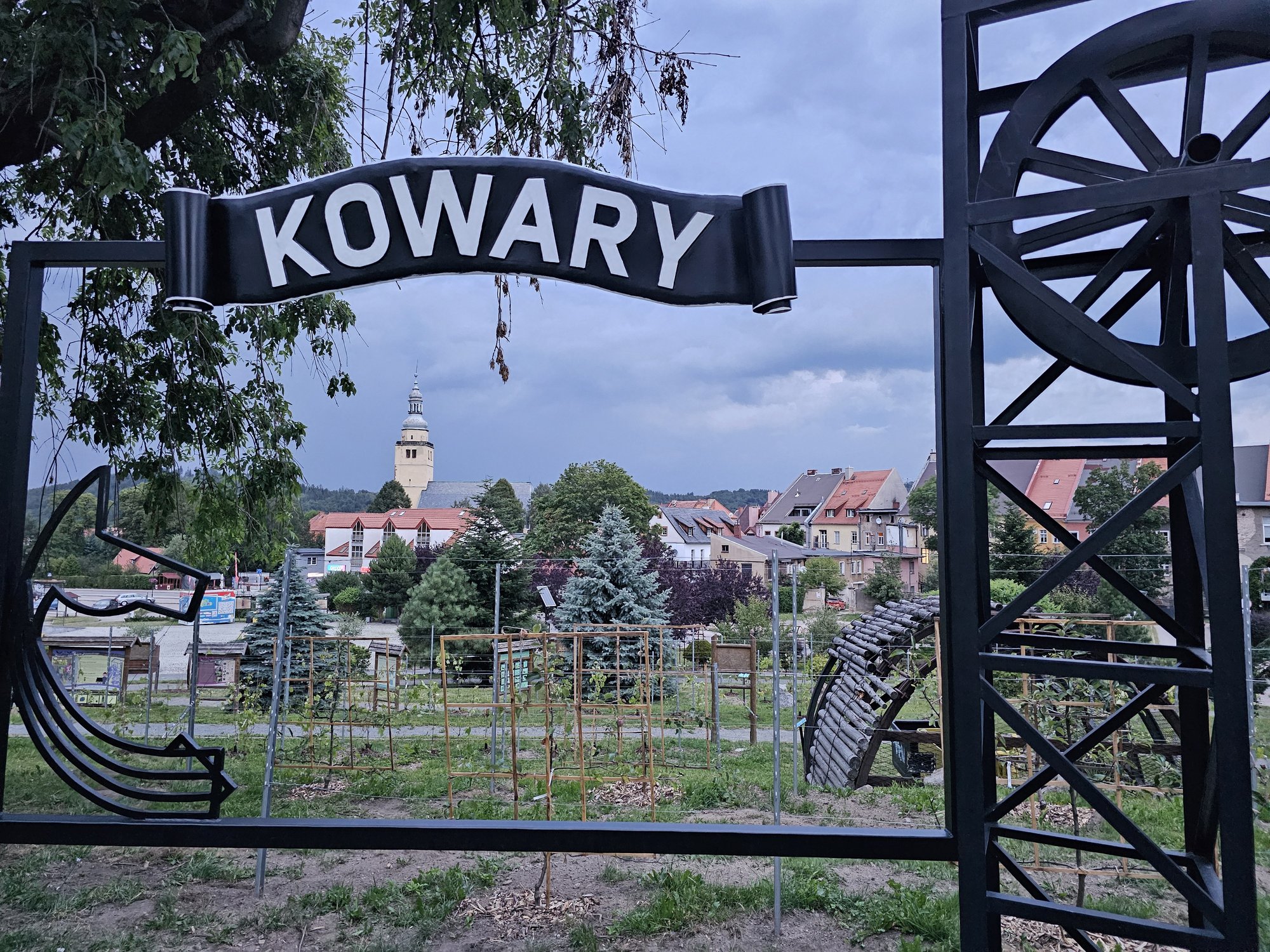 winnica-juz-cieszy-oko-125870