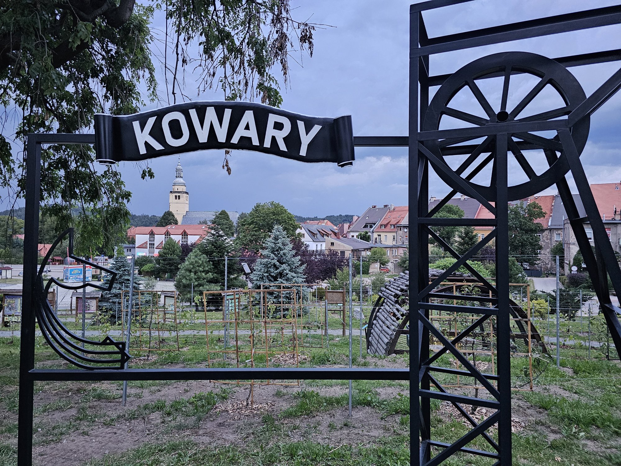 winnica-juz-cieszy-oko-125870