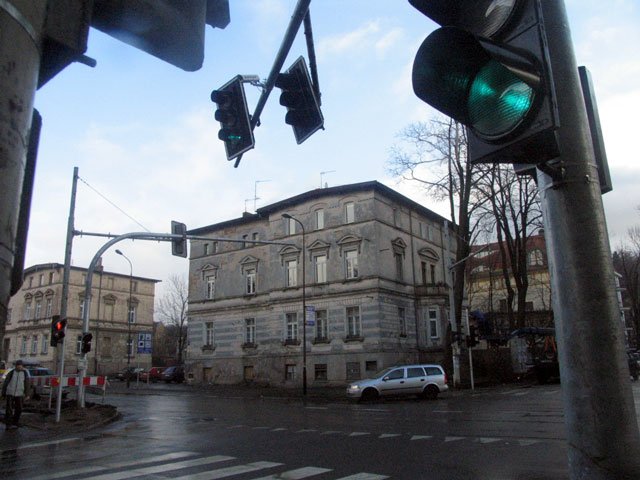 inteligencja-zielonego-swiata-12601