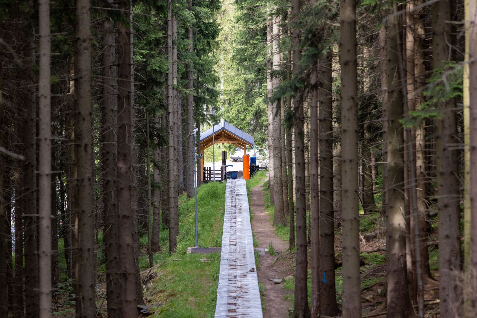z-tasmy-do-kolejki-126012