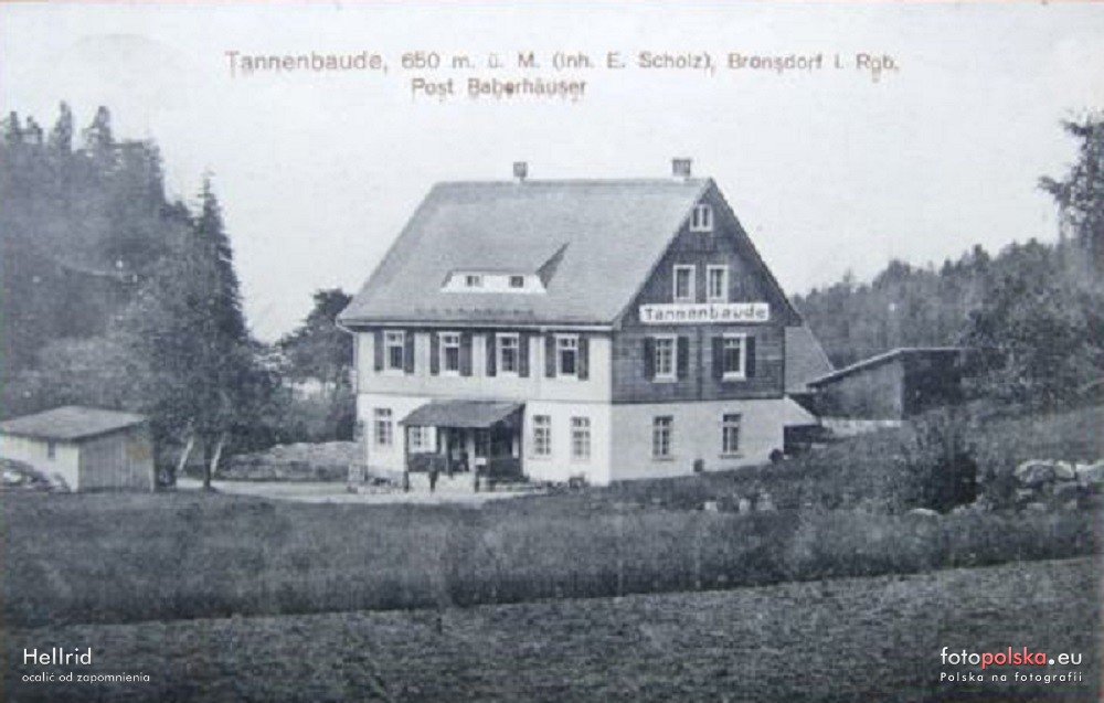 broniow-najstarsza-czesc-borowic-126109