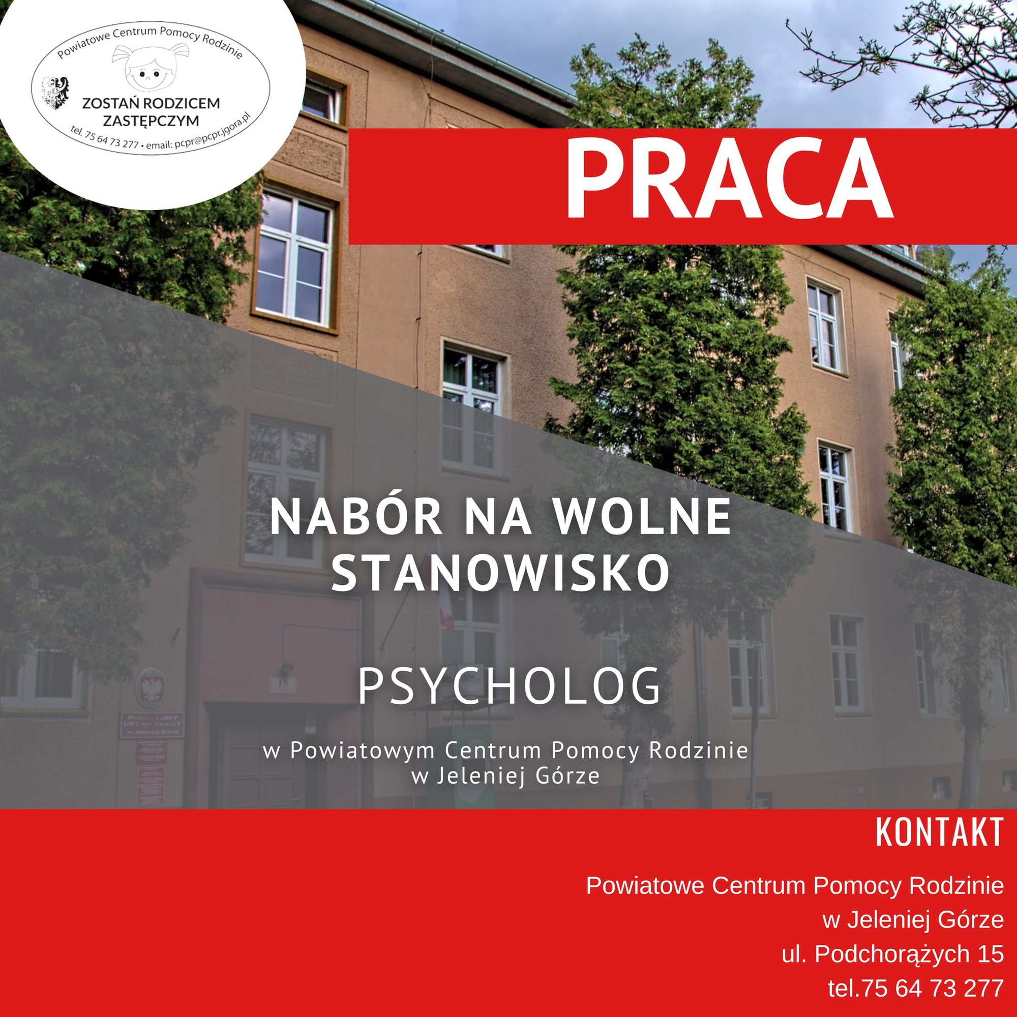 poszukiwany-psycholog-126166