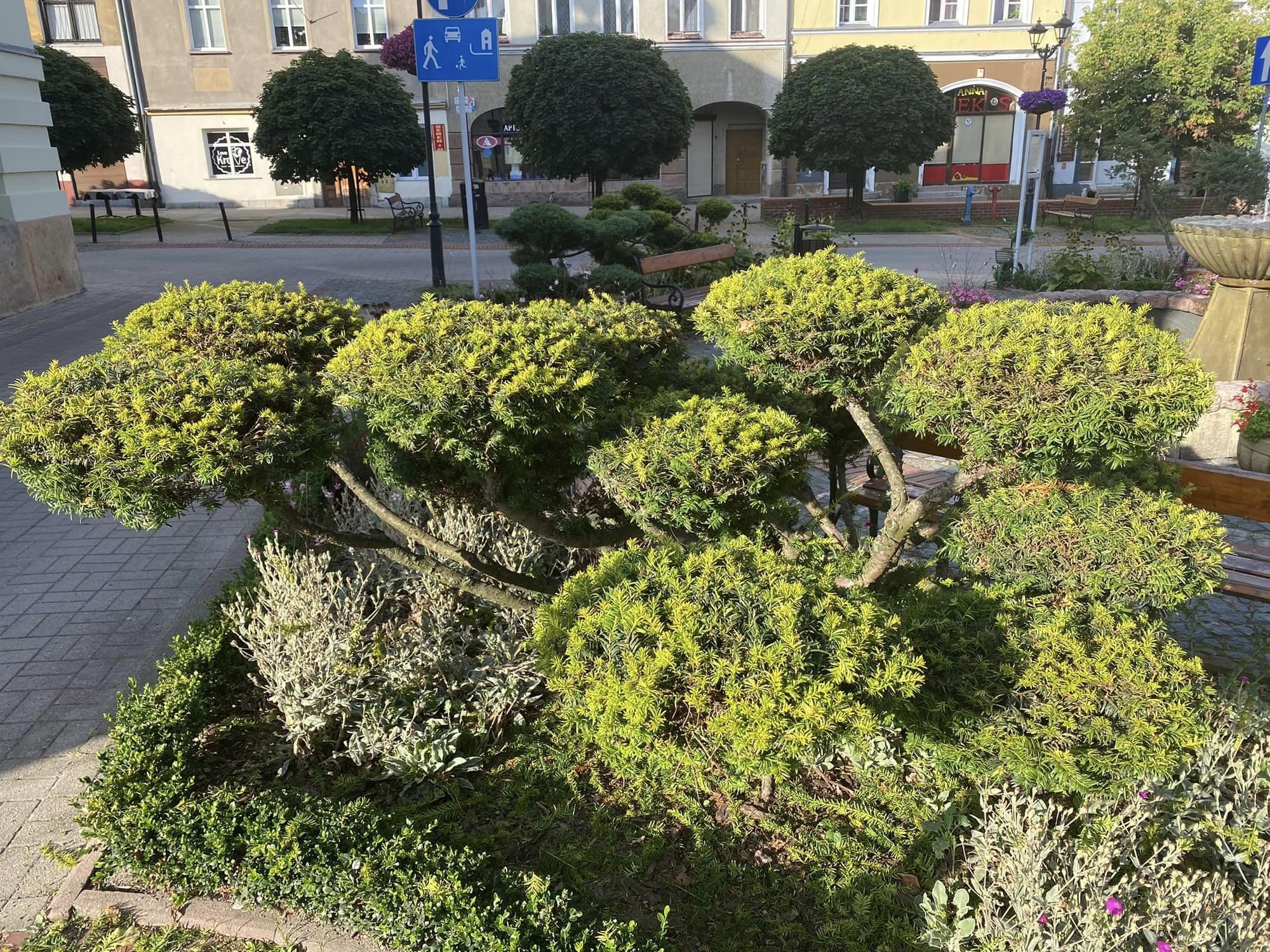 pieknieje-centrum-kowar-126250