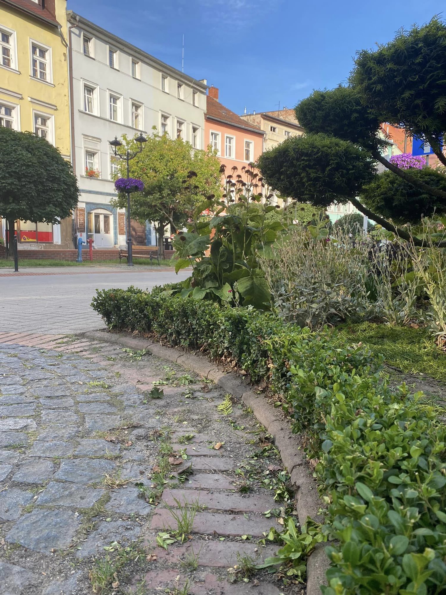 pieknieje-centrum-kowar-126250