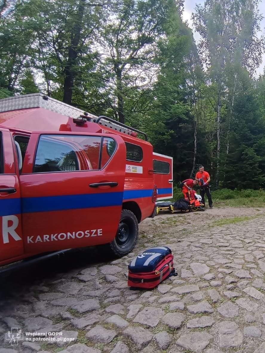 pracowity-lipiec-ratownikow-gorskich-126381