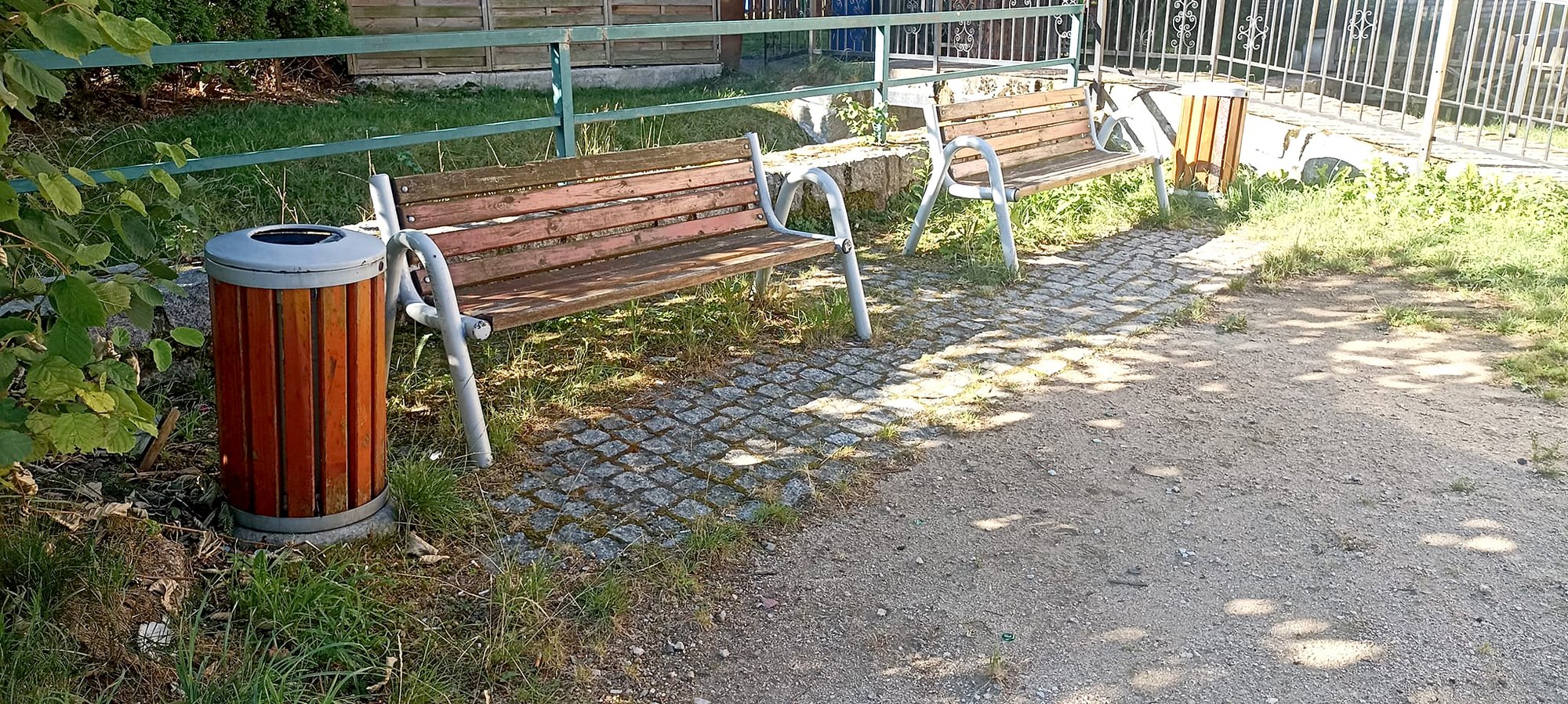 porzadki-przy-zabytkowym-cisie-126385