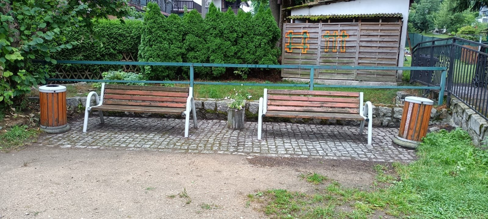 porzadki-przy-zabytkowym-cisie-126385