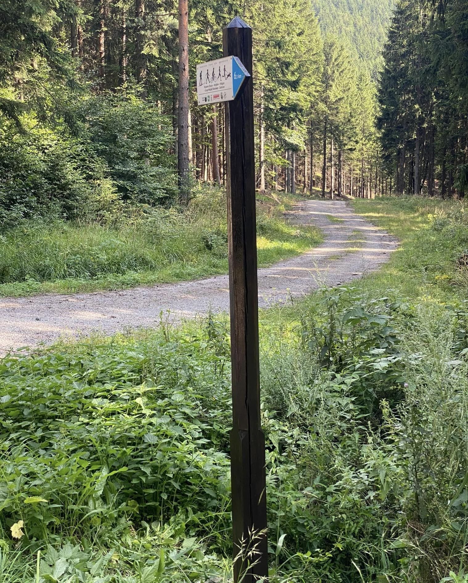 dbaja-o-trasy-biegowe-126420