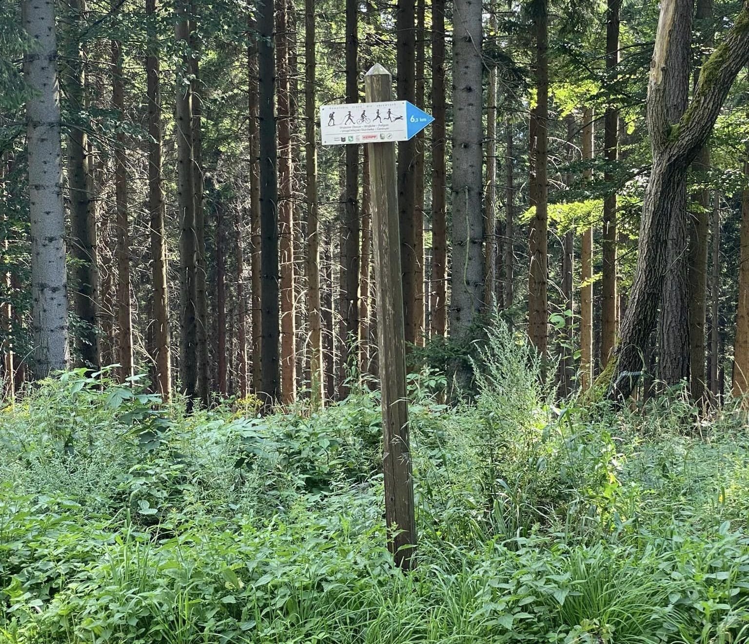 dbaja-o-trasy-biegowe-126420